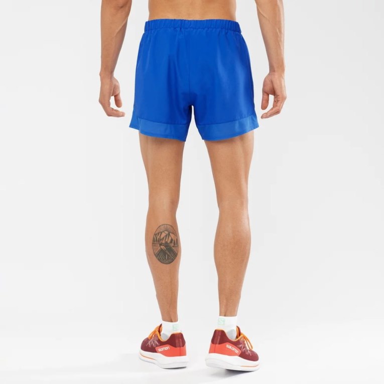 Blue Salomon Cross Rebel 5'' Men's Shorts | PH 52043P